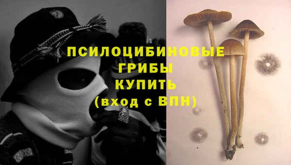 Альфа ПВП Алексеевка