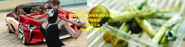 spice Алзамай