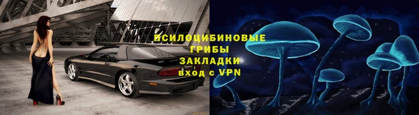 ешки Алексин