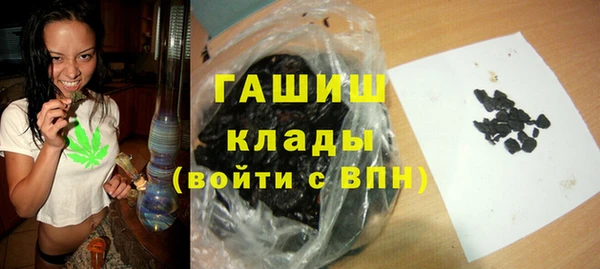 ешки Алексин