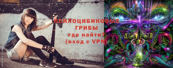 ешки Алексин