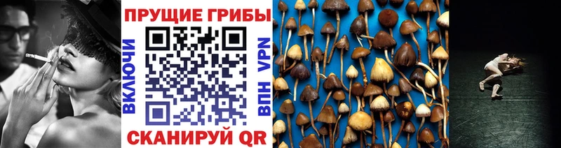 Псилоцибиновые грибы прущие грибы  цена   Цивильск 